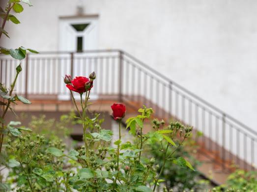 Apartmani Ba SJJ Esterno foto