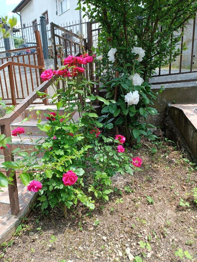 Apartmani Ba SJJ Esterno foto
